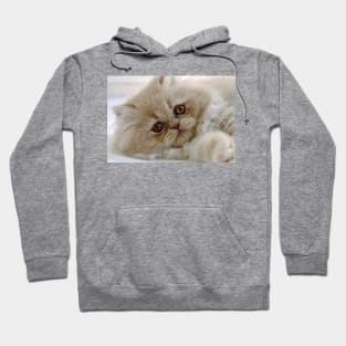 You had me at 'meow' Hoodie